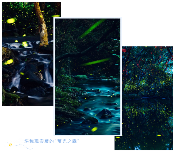 微信截图_20220602105035.png