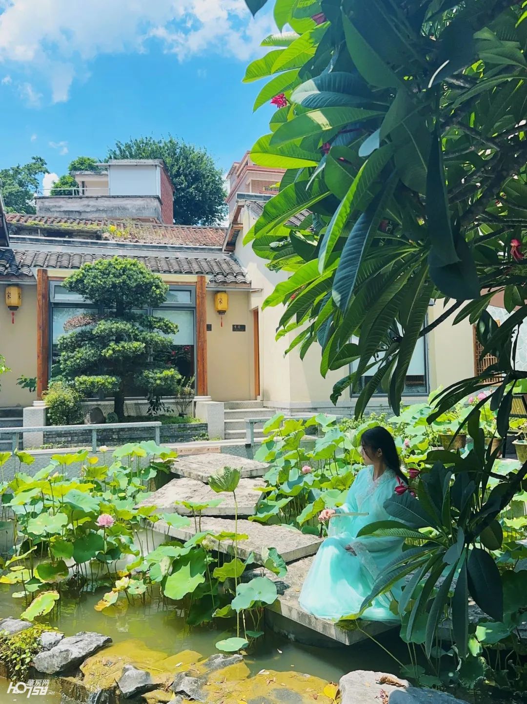 图片
