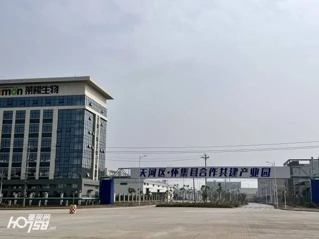 天河区怀集县合作共建产业园已备好一批“熟地”，等待好项目加入。卢舒曼 摄  受访者供图